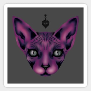 Sphynx cat in darkness Magnet